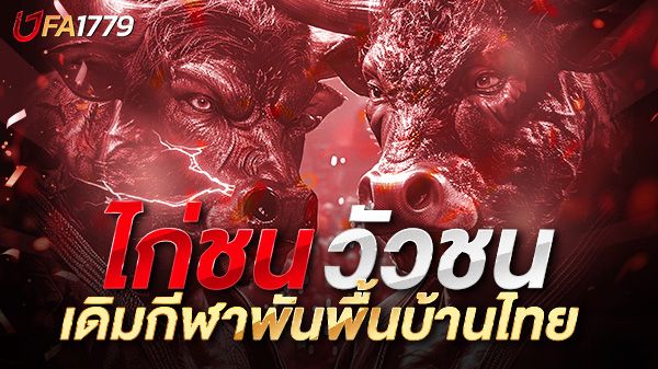 บทความ ไก่ชน วัวชน กีฬาเดิมพันพื้นบ้านไทยที่กำลังกลับมาแรงในยุคดิจิทัล